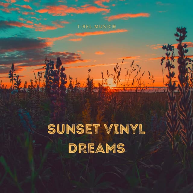 Sunset Vinyl Dreams - Solaa