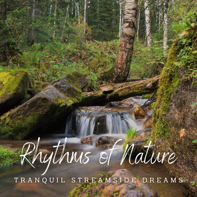Rhythms of Nature: Stream Soundscapes - Nature & Sounds Background