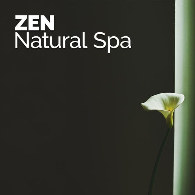 Zen Natural Spa - Deep Sleep Nature Sounds
