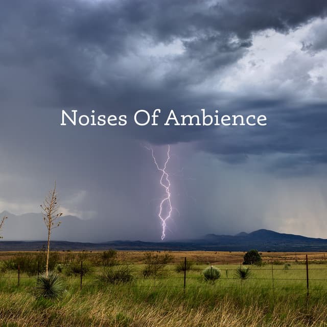 Noises Of Ambience