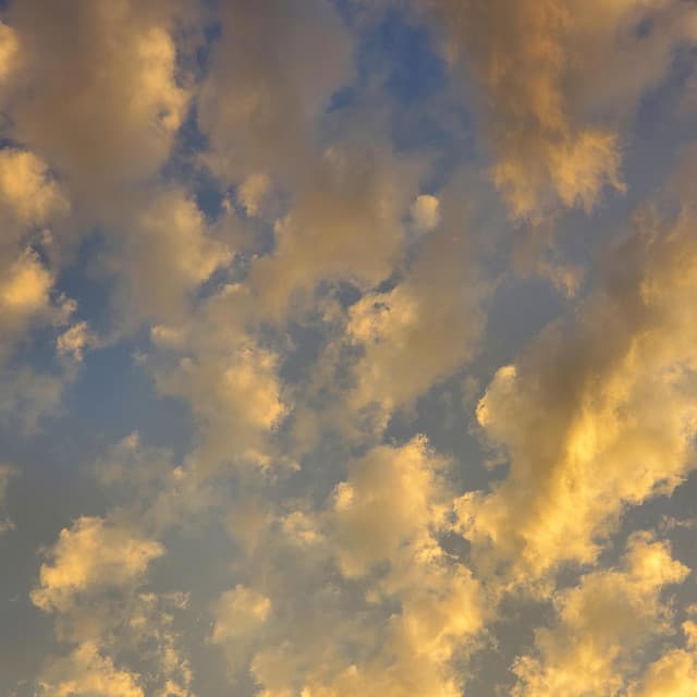 scraps and fundamentals - Byelti