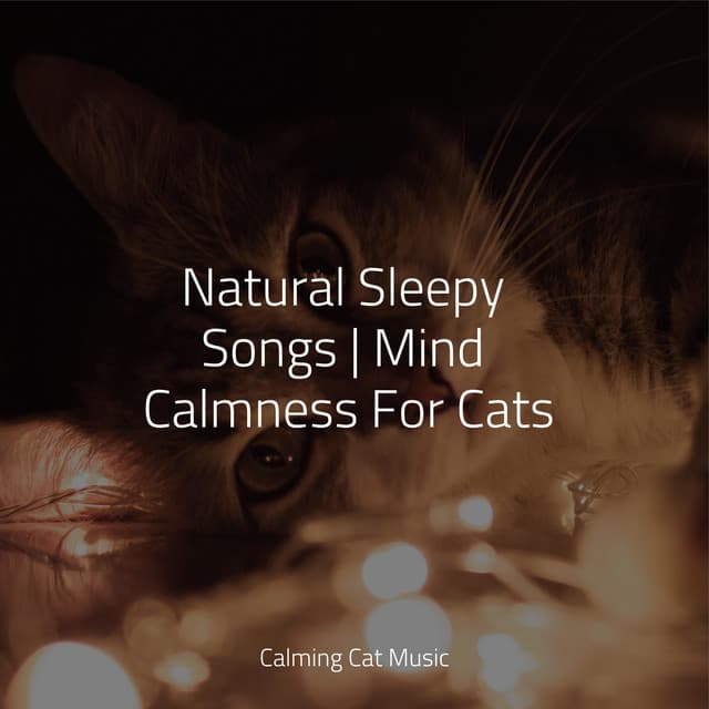 Natural Sleepy Songs | Mind Calmness For Cats - Relaxmycat