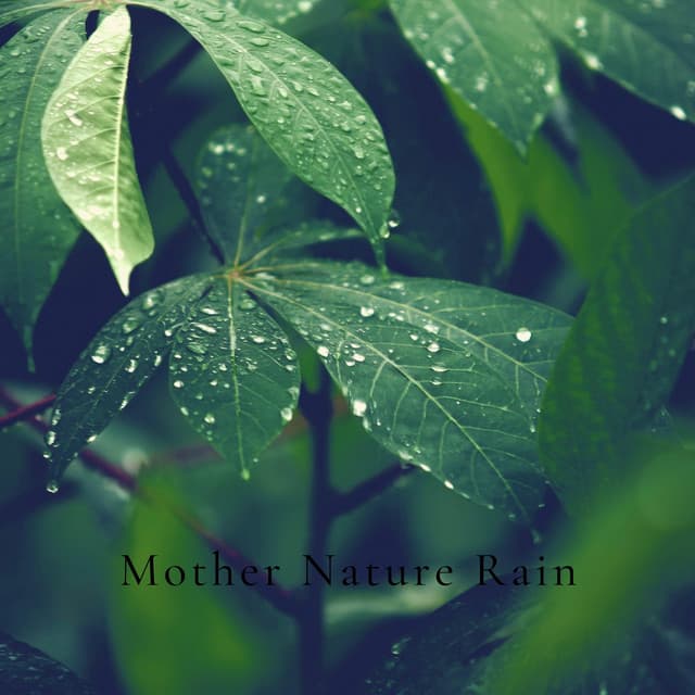 Mother Nature Rain - Mother Nature FX