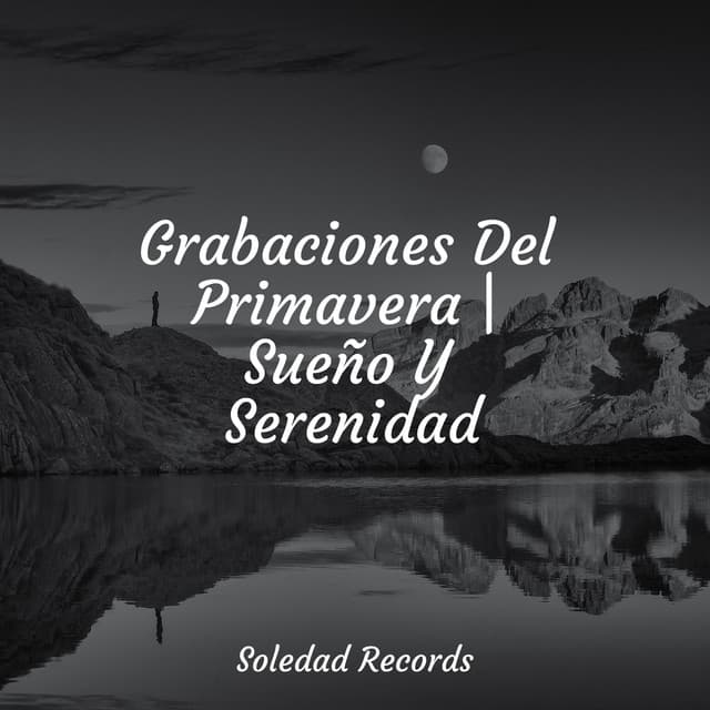 Grabaciones Del Primavera | Sueño Y Serenidad - Canciones de Cuna 101