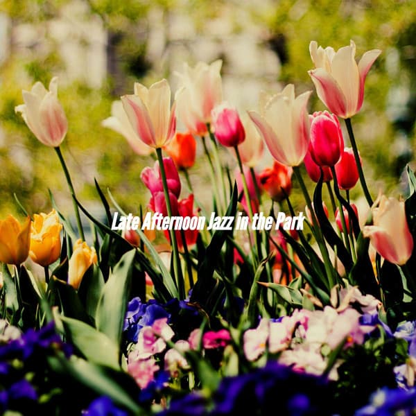 Late Afternoon Jazz in the Park - Musica Jazz di Sottofondo