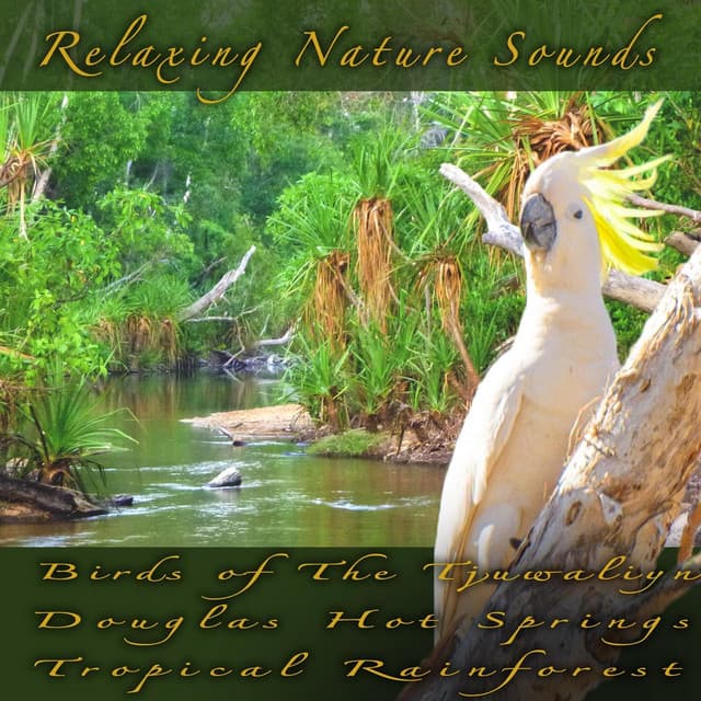 Birds of the Tjuwaliyn Douglas Hot Springs Tropical Rainforest - Relaxing Nature Sounds