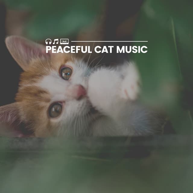 Peaceful Cat Music - Music for Cats Peace