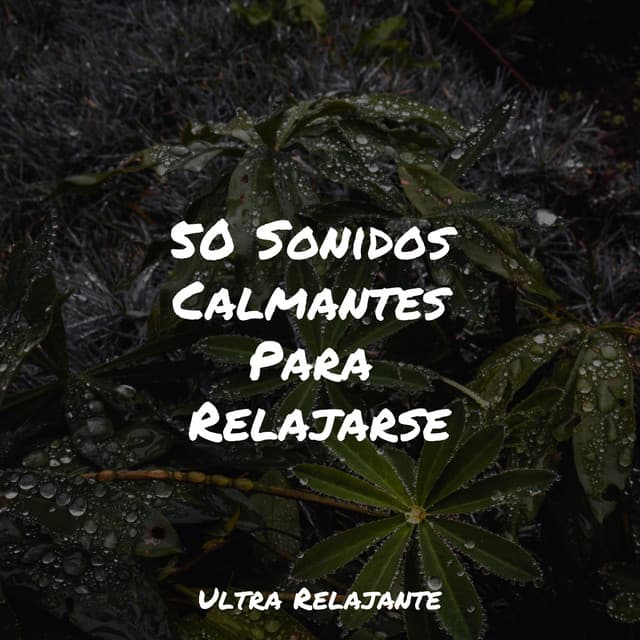 50 Sonidos Calmantes Para Relajarse - Canção de Ninar Bebê