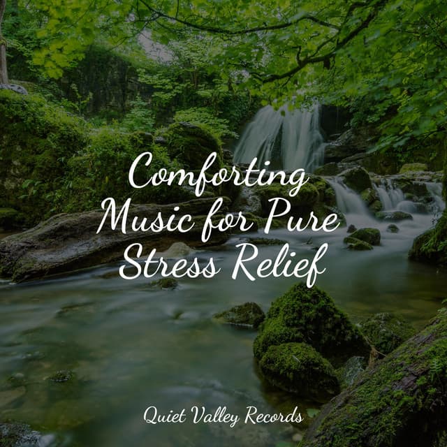 Comforting Music for Pure Stress Relief - Sleep Songs 101