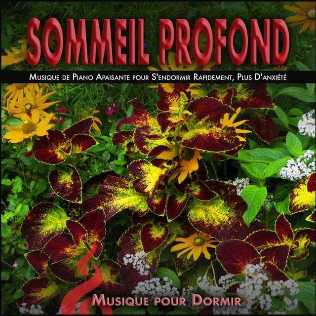 Sommeil Profond: Musique de Piano Apaisante pour S'endormir Rapidement, Plus D'anxiété - Musique pour Dormir