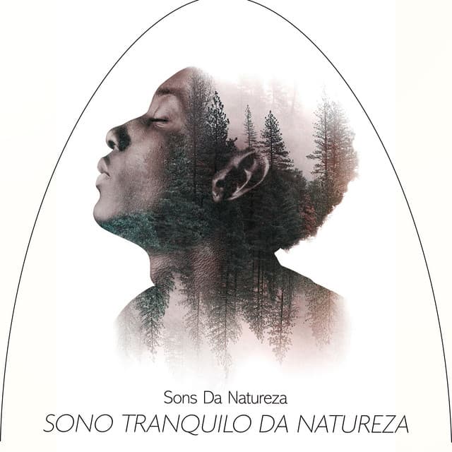 Sono tranquilo da natureza - Sons da Natureza