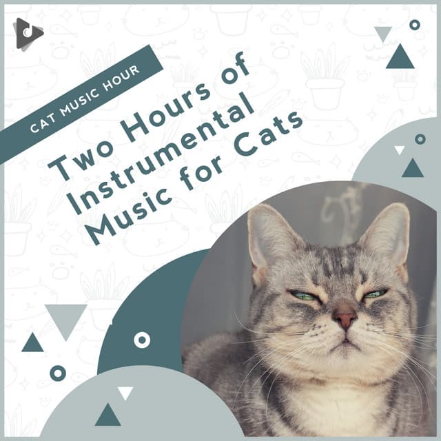 2 Hours of Instrumental Music for Cats - Cat Music Hour