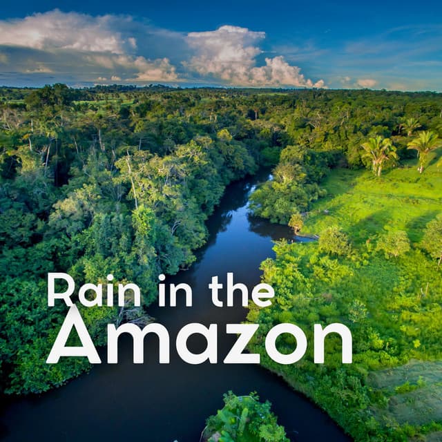 Rain in the Amazon - Rain for Deep Sleeping