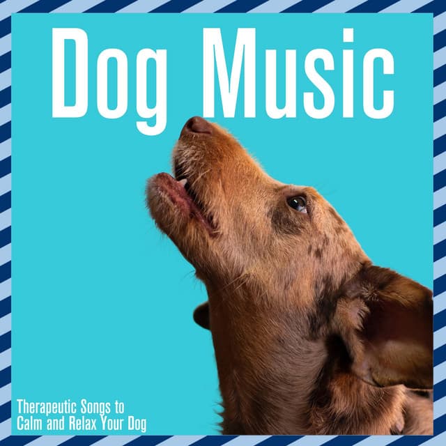 Dog Music: Therapeutic Songs to Calm and Relax Your Dog - Dog Music