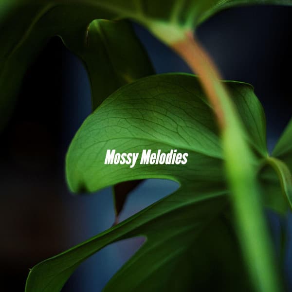Mossy Melodies - Dinner Jazz Playlist