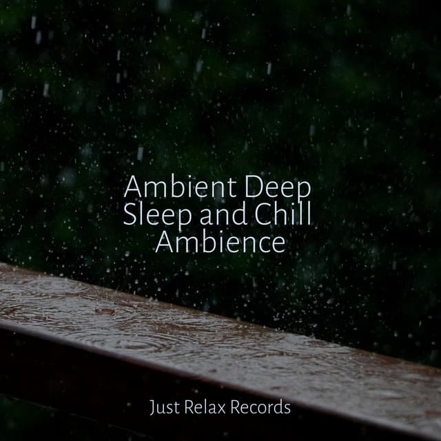 Ambient Deep Sleep and Chill Ambience - Study Hard
