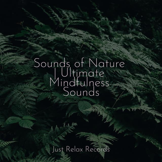 Sounds of Nature | Ultimate Mindfulness Sounds - Calm Music for Studying
