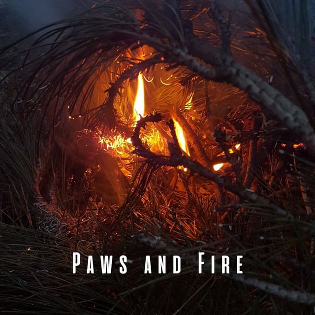 Paws and Fire: Ambient Music with Gentle Tones for Dogs - Fireplace Music