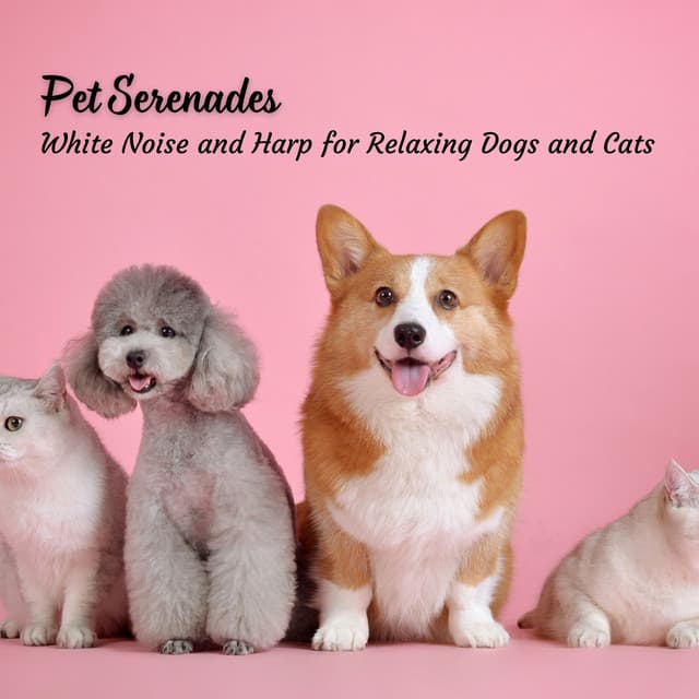 Pet Serenades: White Noise and Harp for Relaxing Dogs and Cats - Dreamy White Noise