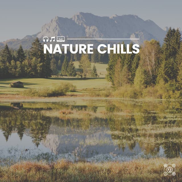 Nature Chills - Florida Nature