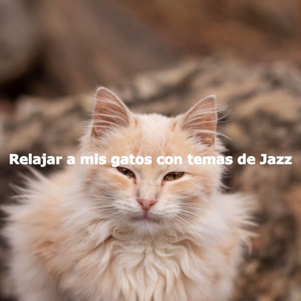 Relajar a mis gatos con temas de Jazz - Hintergrund Jazz Musik