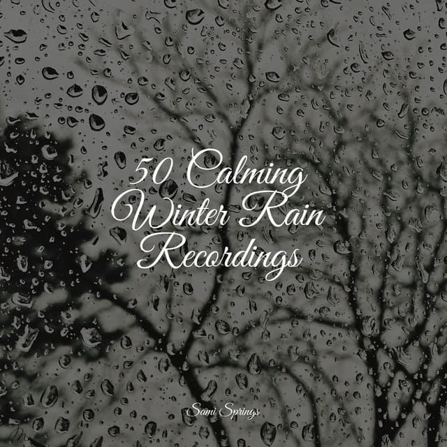 50 Calming Winter Rain Recordings - Hipnose Natureza Sons Coleção