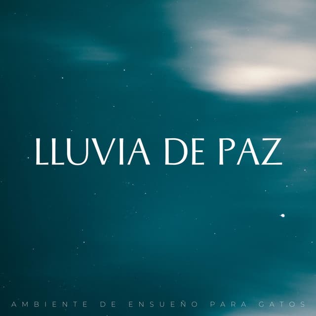 Lluvia De Paz: Ambiente De Ensueño Para Gatos - Agradecida por la lluvia