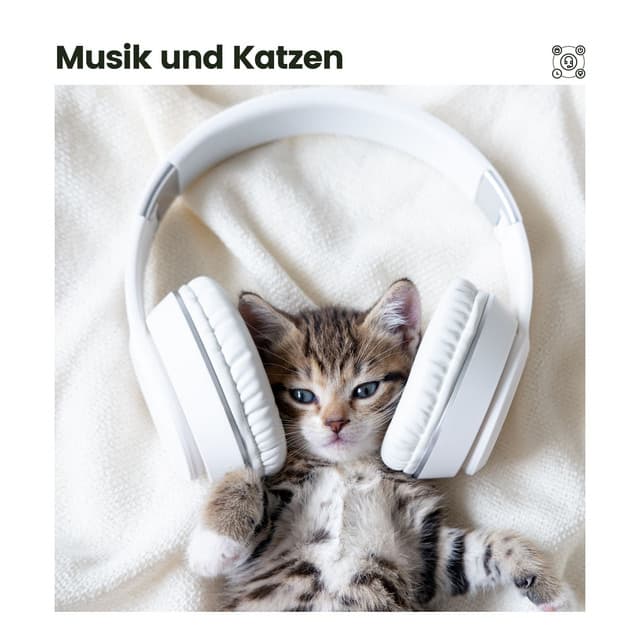 Musik und Katzen - Katzenmusik