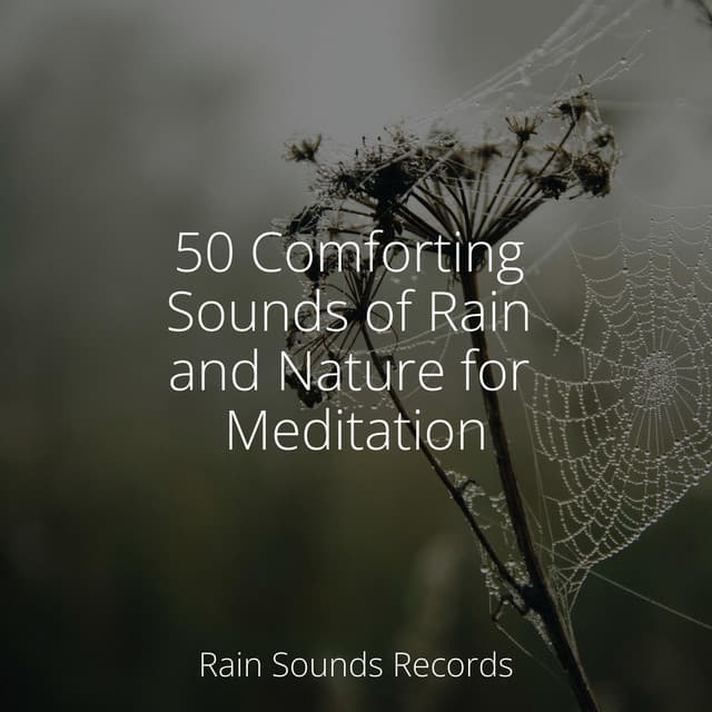 50 Comforting Sounds of Rain and Nature for Meditation - Deep Sleep Relaxation