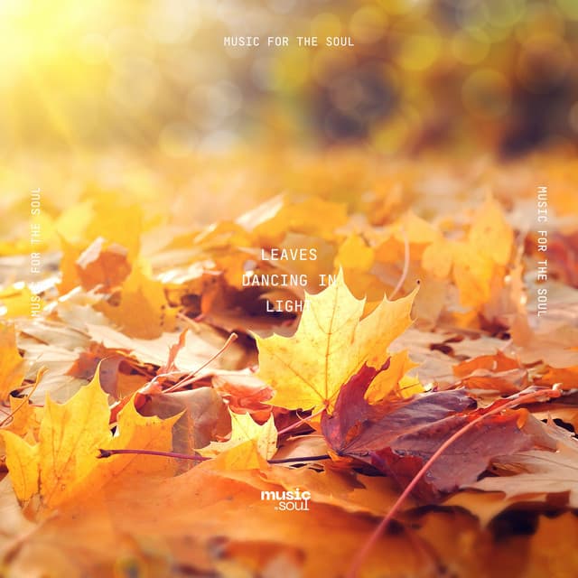 Leaves Dancing in Light - Taigavista