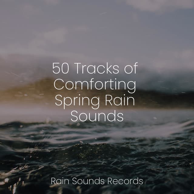 50 Tracks of Comforting Spring Rain Sounds - Nature Sound Collection