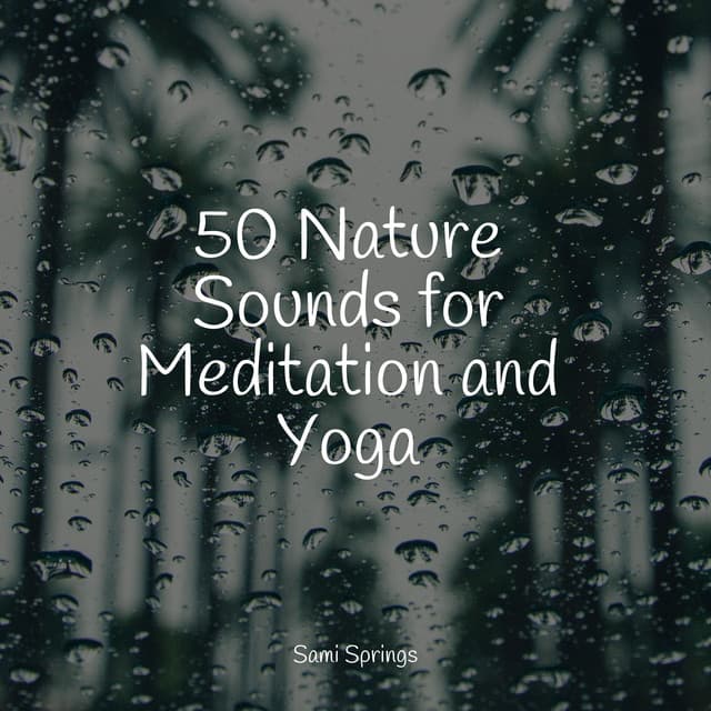 50 Nature Sounds for Meditation and Yoga - Gentle Rain Makers