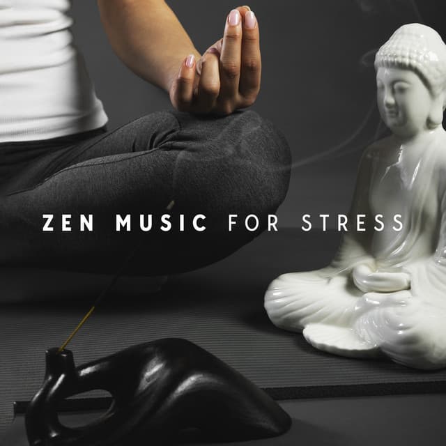 Zen Music for Stress: Five Senses Relaxation, Soothe ADHD Symptoms, Improve Concentration and Meditate - Improving Concentration Music Zone