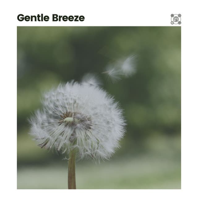 Gentle Breeze - The Forest Escape