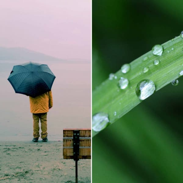 Breathtaking Background for Rainy Aprils - French Cafe Jazz Society