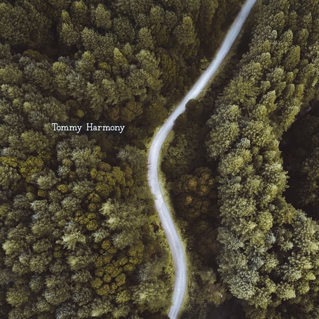 Thinkspace - Tommy Harmony