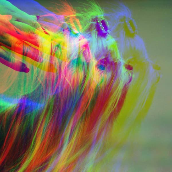 Funky Trio Jazz - Ambiance for Staying Warm Pups - Sleepy Dogs