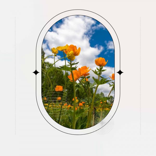 Music for Refreshing Spring - Jazz Ballad - Chill Music for Reading