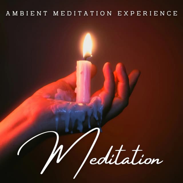 Rainy Tranquility: Ambient Meditation Experience - Rainfall For Sleep
