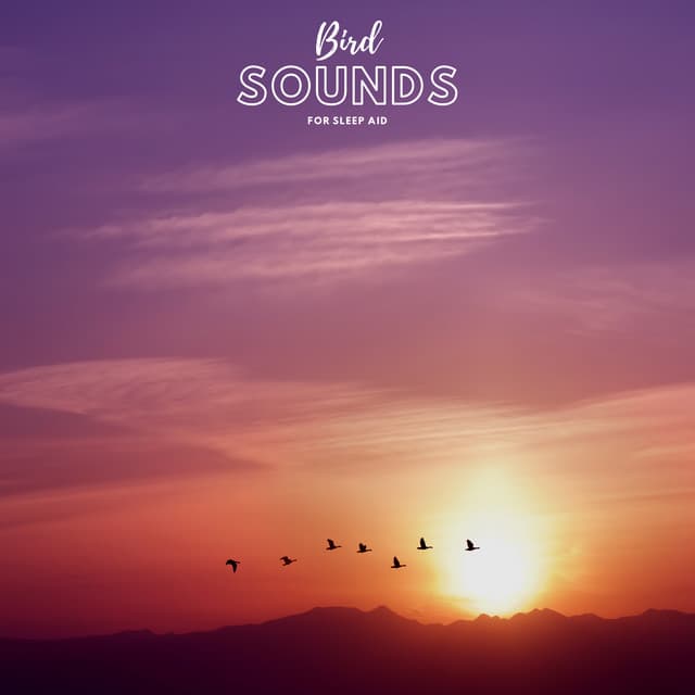 Bird Sounds For Sleep Aid - Natural Sample Makers