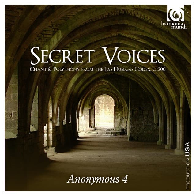 Secret Voices - Anonymous