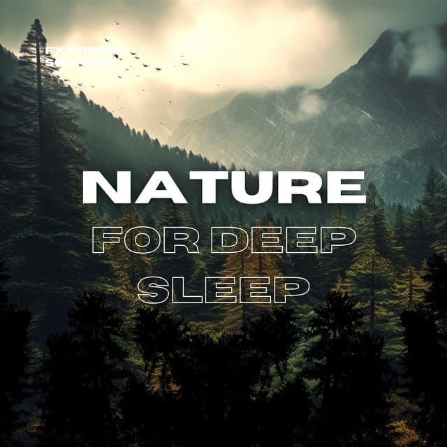 Forest Sounds: Nature for Deep Sleep, Meditation & Relaxation - FX Forest Sounds