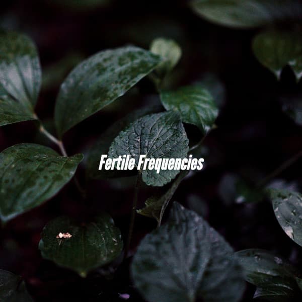 Fertile Frequencies - Calm Instrumental Coffee House