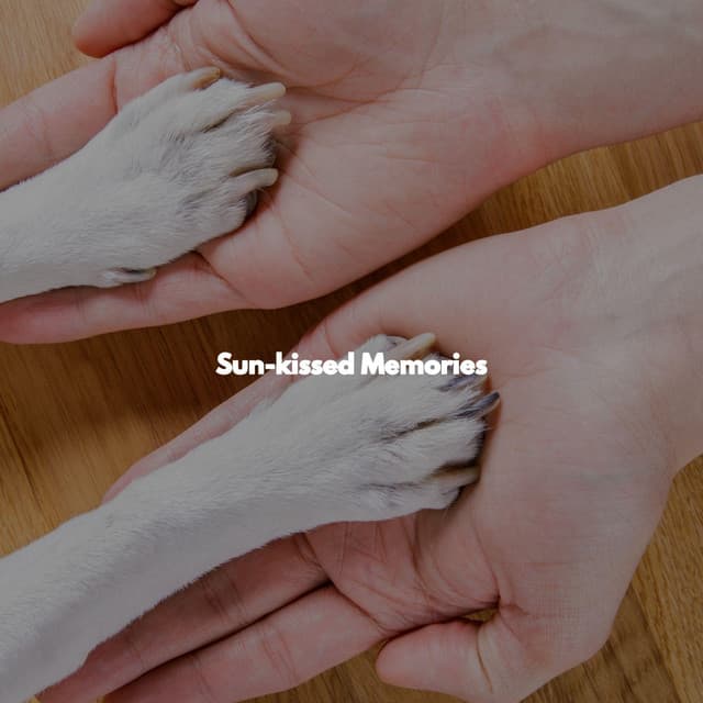 Sun-kissed Memories - Saturday Morning Playlist