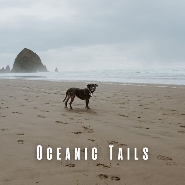 Oceanic Tails: Theta Waves with Binaural Dog Symphonies - Waveframe