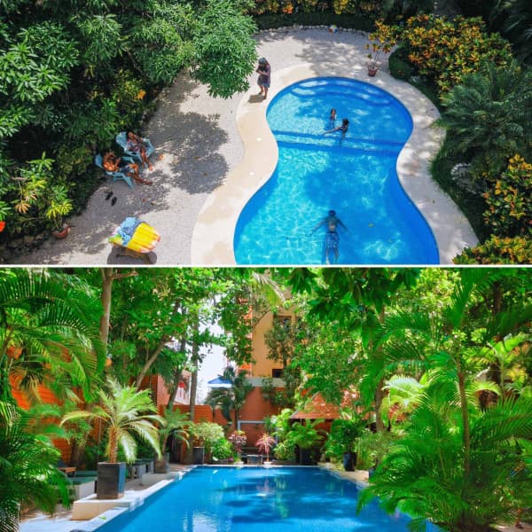 Background Music - The Piano Lounge Players