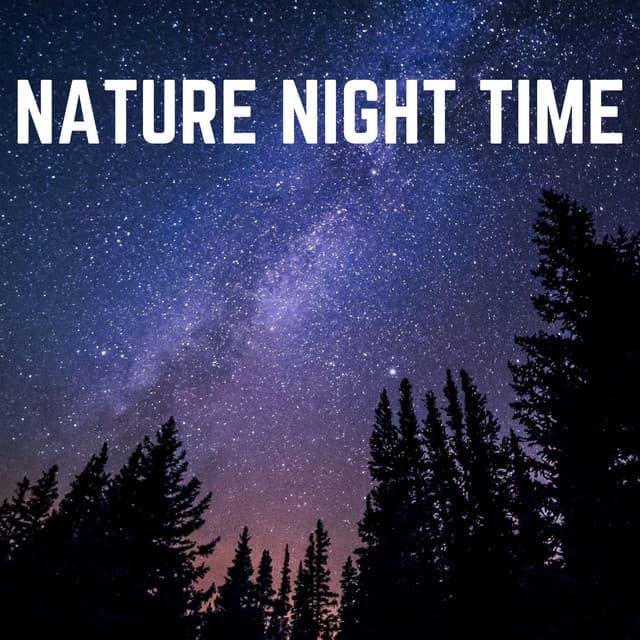 Nature Night Time - Weather Sounds