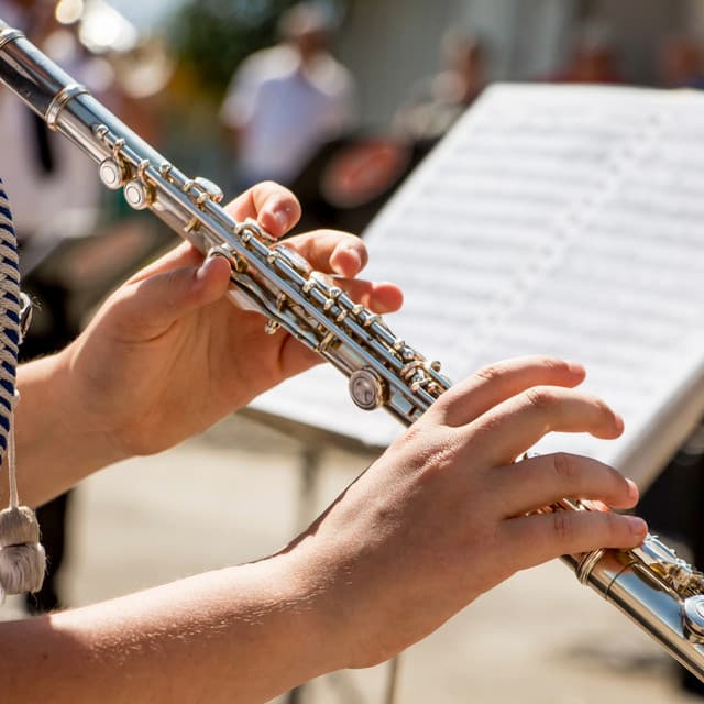 Orchestra Melodies for Quiet Moments - Eloy Perez