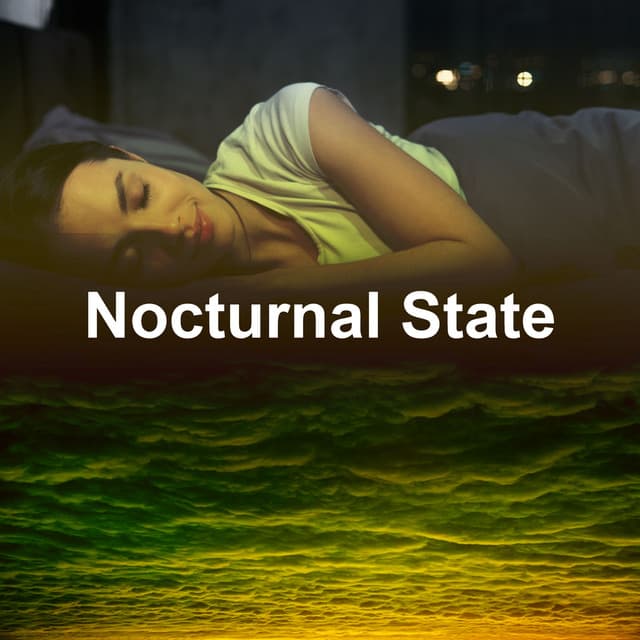 Nocturnal State - Deep Sleep Sanctuary