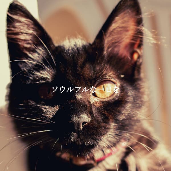 ソウルフルな一日を - Classic Relaxing Jazz